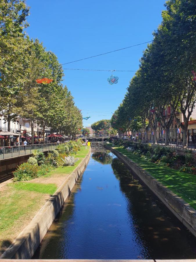 Superbe Batisse De Caractere, Coeur De Ville Перпинян Екстериор снимка