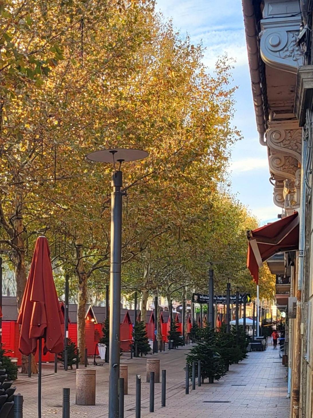 Superbe Batisse De Caractere, Coeur De Ville Перпинян Екстериор снимка